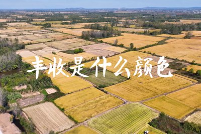 春種一粒粟，秋收萬(wàn)顆子。多彩的豐收季，只愿五谷豐登，百事興旺3.240_400.jpg
