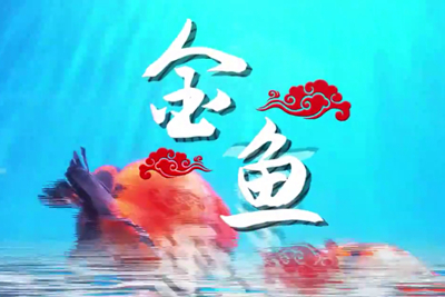 金魚歡躍，流光溢彩！_400.jpg
